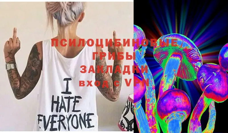 Галлюциногенные грибы Magic Shrooms  Менделеевск 